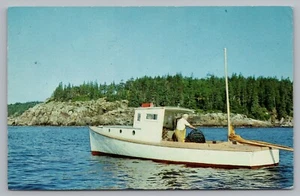 Postcard Lobsterman on the Coast of Maine Pemaquid Beach Posted 1967 - Picture 1 of 2
