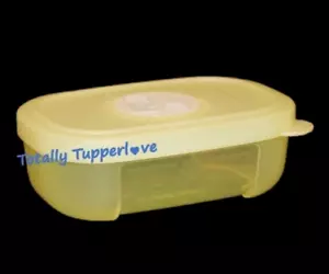 Tupperware Freeze Smart Container Mini 4 OZ Dial Fecha Congelador Compañeros Amarillo NUEVO - Imagen 1 de 2