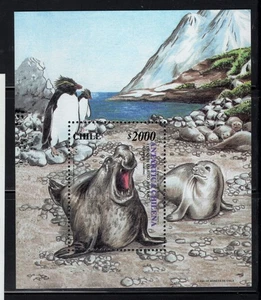 CHILE 2000 Wildlife Antartic Pinguin Meer Elefant Block Souvenir MNH - Bild 1 von 1