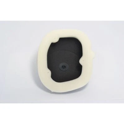 Filtro de Aire ATHENA For KTM 250 EXC F 4T 2008-2011 - Imagen 1 de 4