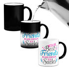 We're Best Friends Because Everyone Else Sucks Gift Heat Colour Changing Mug