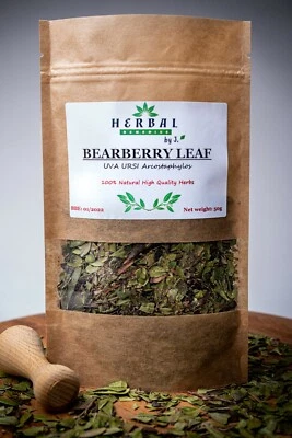 Bearberry Uva Ursi Leaf Tea Supports Kidney & Bladder Health Macznica Lekarska - Image 1 of 3