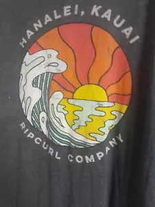 Rip Curl Short Sleeve Graphic T-shirt Size Medium Dark Grey Marle - Picture 1 of 7
