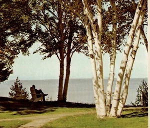 Vintage Postcard Made For Sitting  Great Lakes Berrien Center, Michigan - Picture 1 of 3