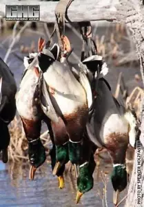 Avery Greenhead Gear Juego Correa de Cerdo Mossy Oak Bottomland Btml Portador de Juego - Imagen 1 de 12
