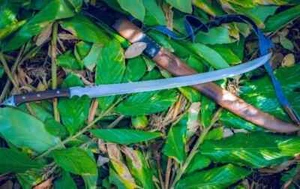 Custom Handmade Federstahl Klinge Tactical Machete Schwert| Jagdschwert Camping - Bild 1 von 10