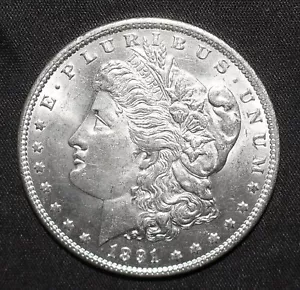 1891 Morgan Dollar FDC (R165) - Foto 1 di 2