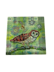 Creative Co-op Owl Acrylic Paperweight Green Orange Whimsical Desk Office Decor - Picture 1 of 5
