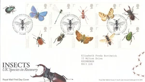 Insects GB RM FDC Tallents 2008 CLEARANCE (145533) - Picture 1 of 1