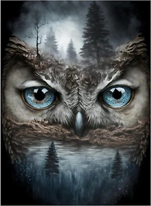 Painting Kits for Adults Owl Forest DIY 5D Full Drill Diamond 12 x 16 Inches - Picture 1 of 11