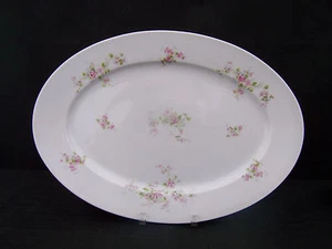 Victoria Austria Floral 16" Oval Serving Platter - Picture 1 of 5