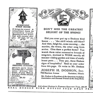 Dodson Bird House Scientific Wren Wooden 8 Compartments Breeding House Print Ad - Picture 1 of 2
