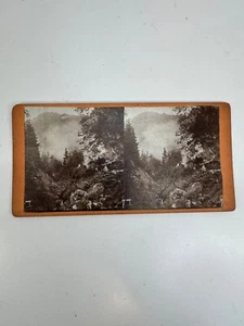 Early 1900s Stereoview Identified Woman Hiking Through High Tatra Mountains - Bild 1 von 2