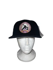 Cappello snapback 75° anniversario Negro Leagues Baseball Museum raro vintage anni 90 - Foto 1 di 10