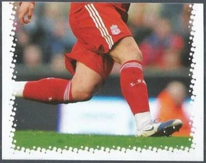 PANINI LIVERPOOL STICKER - 2010 - #033 - LIVERPOOL - FERNANDO TORRES - UNTERE HÄLFTE - Bild 1 von 1