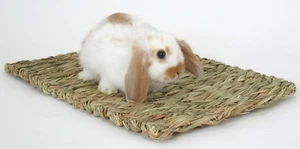 Peter's Natural Woven Grass Mat - Picture 1 of 1