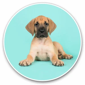 2 x Vinyl Stickers 30cm - Great Dane Puppy Dog Puppies Cute Dogs Cool Gift #2446 - Bild 1 von 9