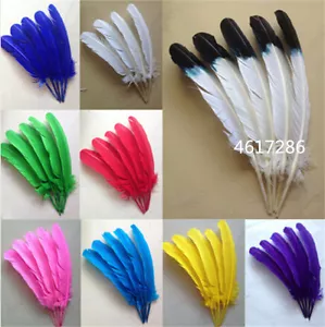Wholesale 10-100 PCS natural Turkey feather 25-30cm/10-12inches - Picture 1 of 13