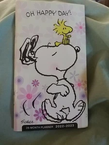 Planificador Peanuts Snoopy con calendario mensual, semanal, más más Cal.11/21 a 12/23 - Imagen 1 de 12