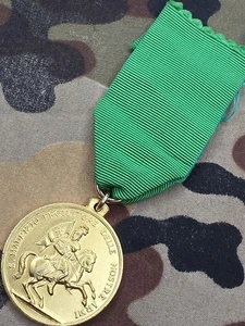 Mauriziana Medaille für 10 Lustres auf Militärkarriere Gedenk Italienisch  - Bild 1 von 2
