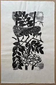 Willem Grimm, Zikade, Holzschnitt, handsigniert - Picture 1 of 4