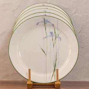 6-Corelle Plates Shadow Iris Dinner Plates Discontinued - Picture 1 of 4