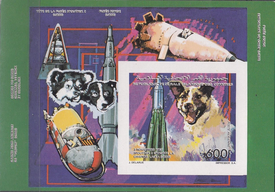 A3 CHAD 0855av SPACE DOGS - Image 1 of 1