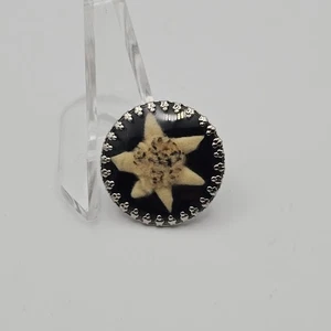 Vintage Edelweiss Flower Brooch, Dried early season flower. Silver toned - Picture 1 of 9