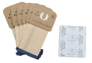 6 Electrolux Renaissance Canister Vacuum Cleaner Style R filter Bags 9000 8000 - Picture 1 of 1