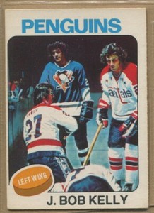 1975-76, O-PEE-CHEE, Hockey, #'s 251 - 396, includes variations and error cards