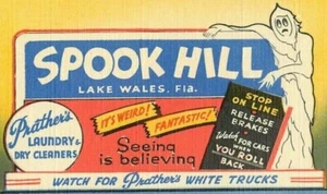 Cartolina Spook Hill Lake Wales Florida lino non timbrata inutilizzata fantasmi - Foto 1 di 3