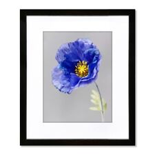 20x24 Frame Black, Perfect for 20x24 Inch Picture without Mat or 16x20 Inch P...