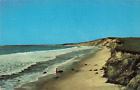 Postcard Martha's Vineyard, MA: Surf at South Beach