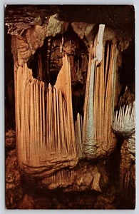Postal Tienda Sarracena Hermosas Cavernas de Luray Virginia Karst Geología Cuevas - Imagen 1 de 2