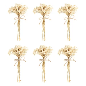 6 Pcs Mini Dried Flower Bouquet Baby's Breath Boho DIY Gift White - Picture 1 of 6