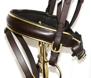 FSS Comfort Padded GOLD PIPING Noseband CAVESSON FLASH Brass Twin Buckle Matt - Picture 1 of 2