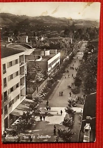 C2010-SASSUOLO, VIA XX SEPTEMBER, FÜR RIMINI IM BISCHÖFLICHEN SEMINAR, 1959 - Bild 1 von 2