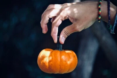 30+ semillas de calabaza Jack Be Little - reliquia - orgánicas - NO TRANSGÉNICAS Foto 1 de 3