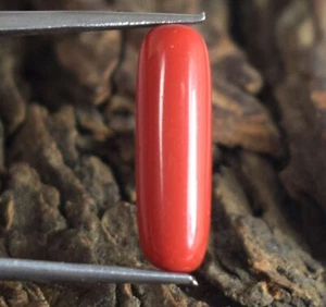 4,70 ct natürliche zylindrische italienische rote Koralle loser Edelstein zertifiziert B89477 - Bild 1 von 8