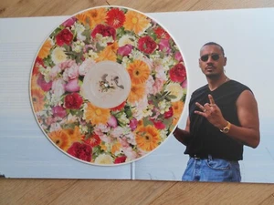 Apache 207 Vinyl Picture LP Gartenstadt sehr Rar Neu (verschweißtes Exemplar) !! - Bild 1 von 4