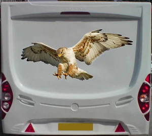 1X HAWK 78CM PRINT CARAVAN MOTOR HOME CAMPER DECALS STICKERS BIRD OF PREY EAGLE  - Picture 1 of 1