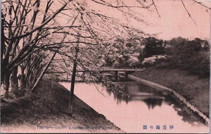 Japón Tokio Cerezo Flores Benkei Puente Vintage Postal C135 - Imagen 1 de 2