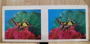 True To Life Stereo Lipton 1963๐#4 PLAGUE LOCUST Picture Card๐ - Picture 1 of 2