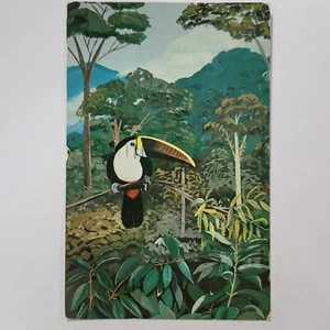 Postal de colección de aves exóticas aviario West Park Pensilvania de tucán garganta blanca - Imagen 1 de 6