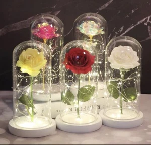Beauty and the Beast Rose in Glass Light Up Enchanted Dome Lamp birthday Gifts - Picture 1 of 8