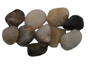 10 Holy Land Natural Rock Stones Jesus Christ Miracles Shores Sea of Galilee - Imagen 1 de 12