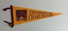 Vintage University of Charleston Golden Eagles College Felt Yellow & Red Pennant