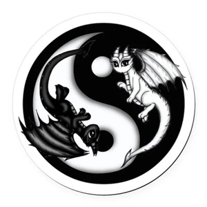YIN YANG DRAGON gem charm handmade pendant 18" Black chain necklace men women - Picture 1 of 11