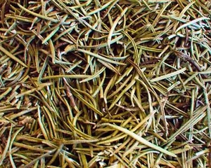 Rosemary Leaves Rosmarinus officinalis Bulk Apothecary Tea Herb 0.5 - 4 oz - Picture 1 of 6