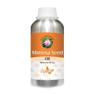 Mimosa Seed (Mimosa pudica) 100% Pure & Natural Essential Oil [15ml-5000ml]
